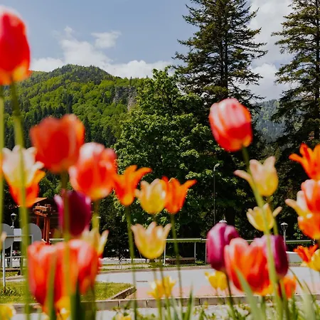 O3zone Hotel BaileTusnad